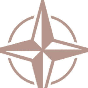 Group logo of Compassion Focused Method